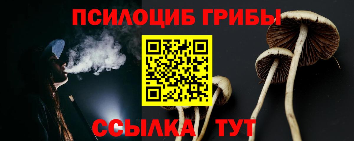 Псилоцибиновые грибы GOLDEN TEACHER  Галлюциногенные грибы Psilocybe  Вход с VPN  Балтийск 