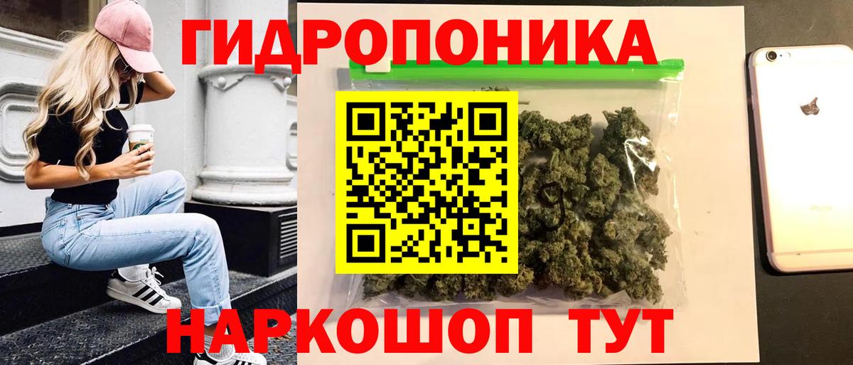 Конопля Bruce Banner  Каннабис OG Kush  Балтийск  Вход с VPN 